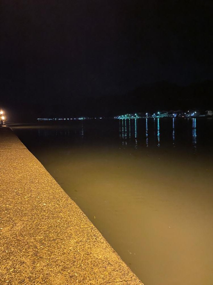 本命は釣れず。