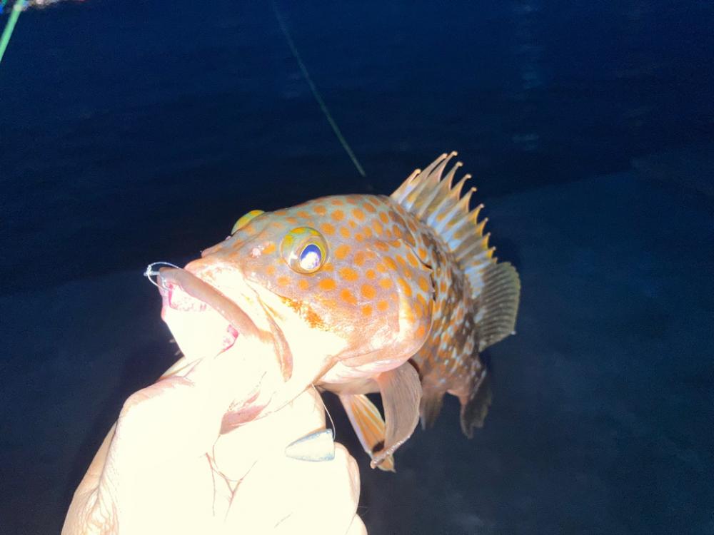 やはり仕上げは・・・