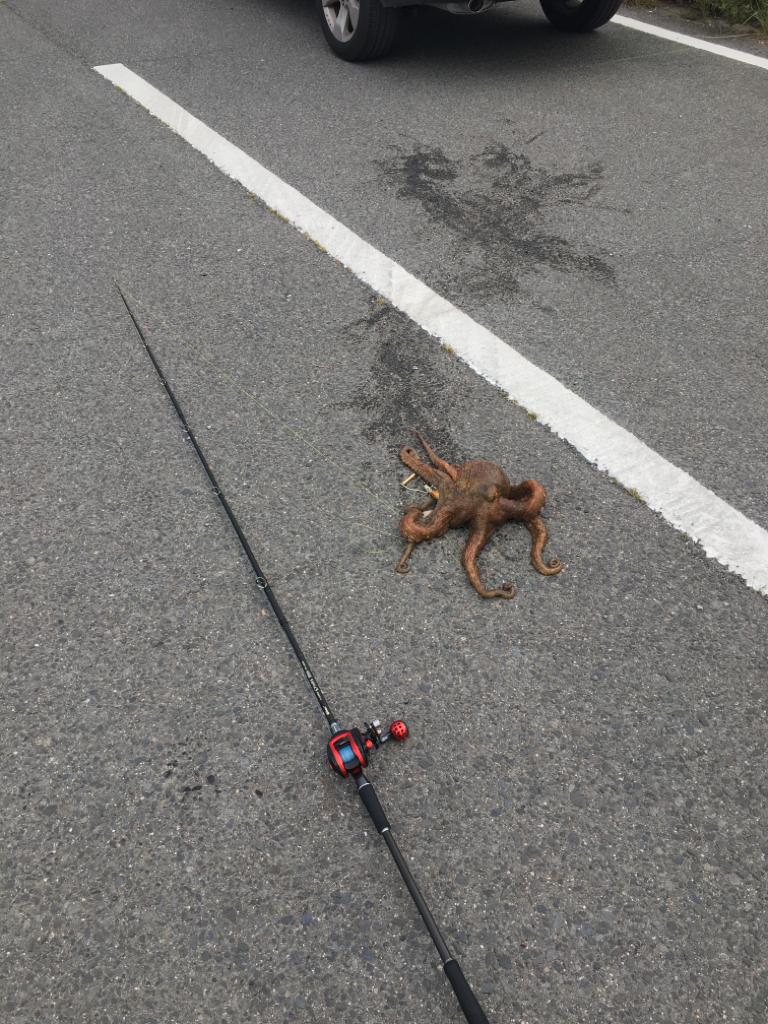 自己最高を更新