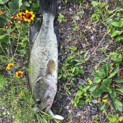 ラパラジョイントでバス！