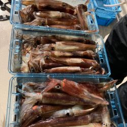 １４日マイカ半夜便