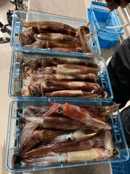 １４日マイカ半夜便