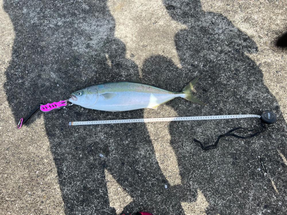 灼熱の万次郎で10投勝負!