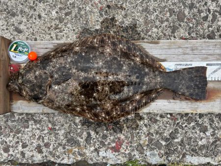 戸賀根太島沖のハナレ