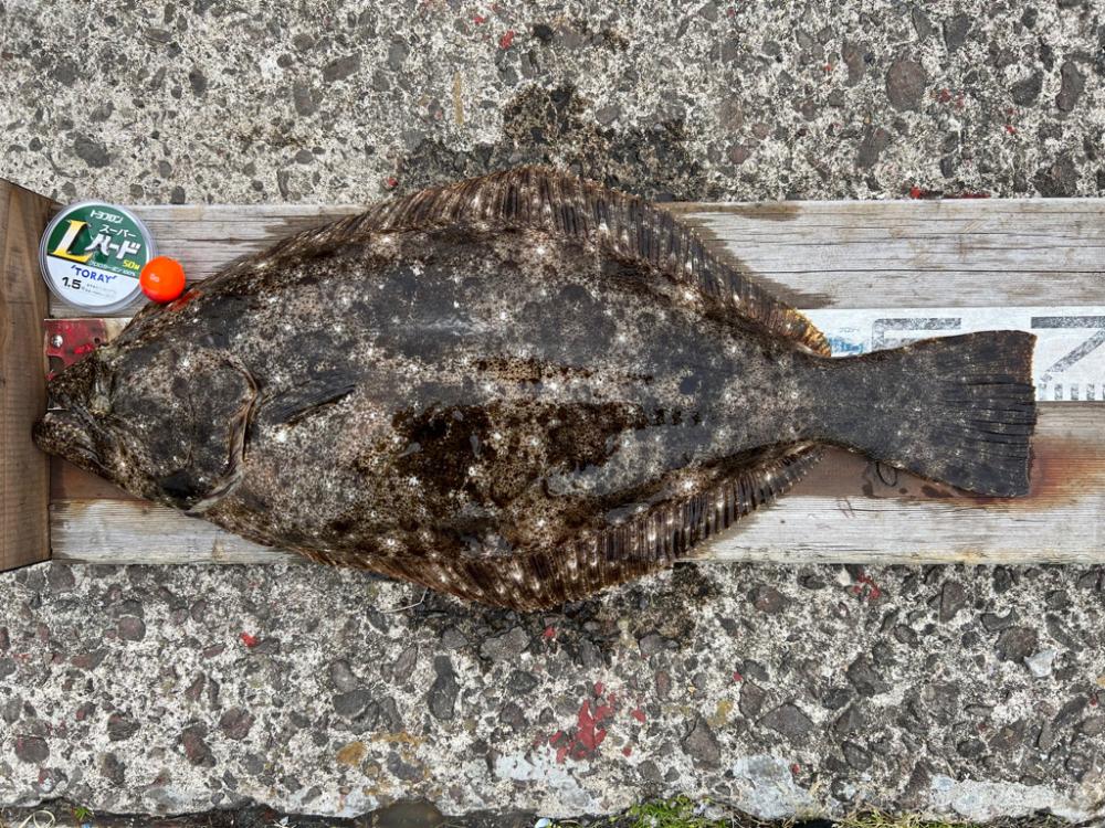 戸賀根太島沖のハナレ