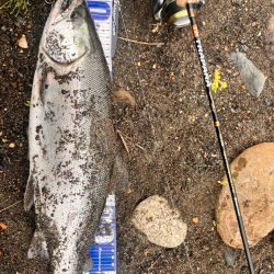 河川ルアーフィッシング