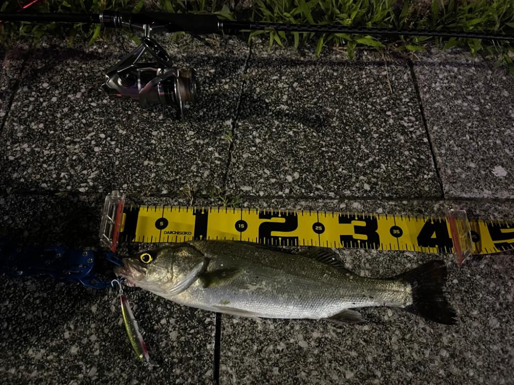 初ブローウィン80S