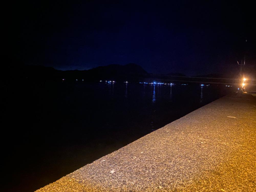 本命は釣れず😂