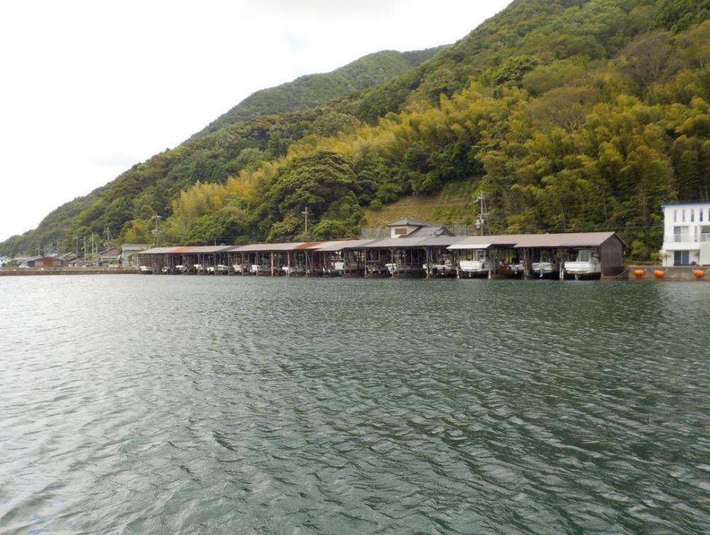 かかり釣りデビュー戦