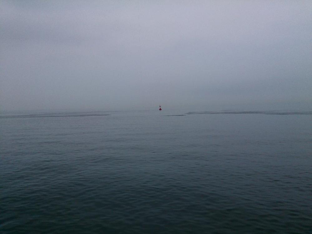 一面ベイトだらけ