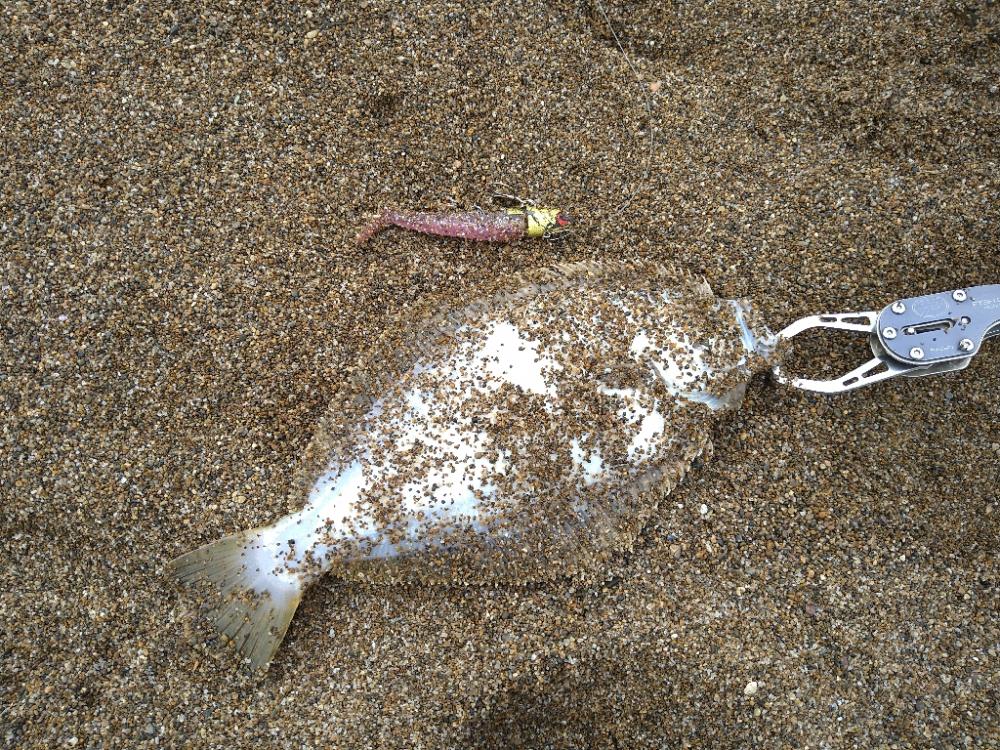 堤防とサーフで三目