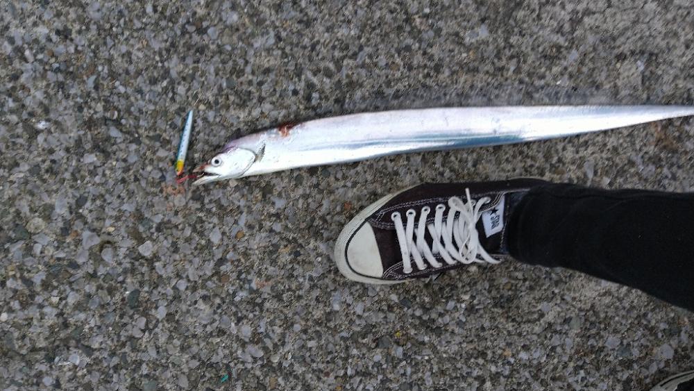 ショアジギングに予定変更