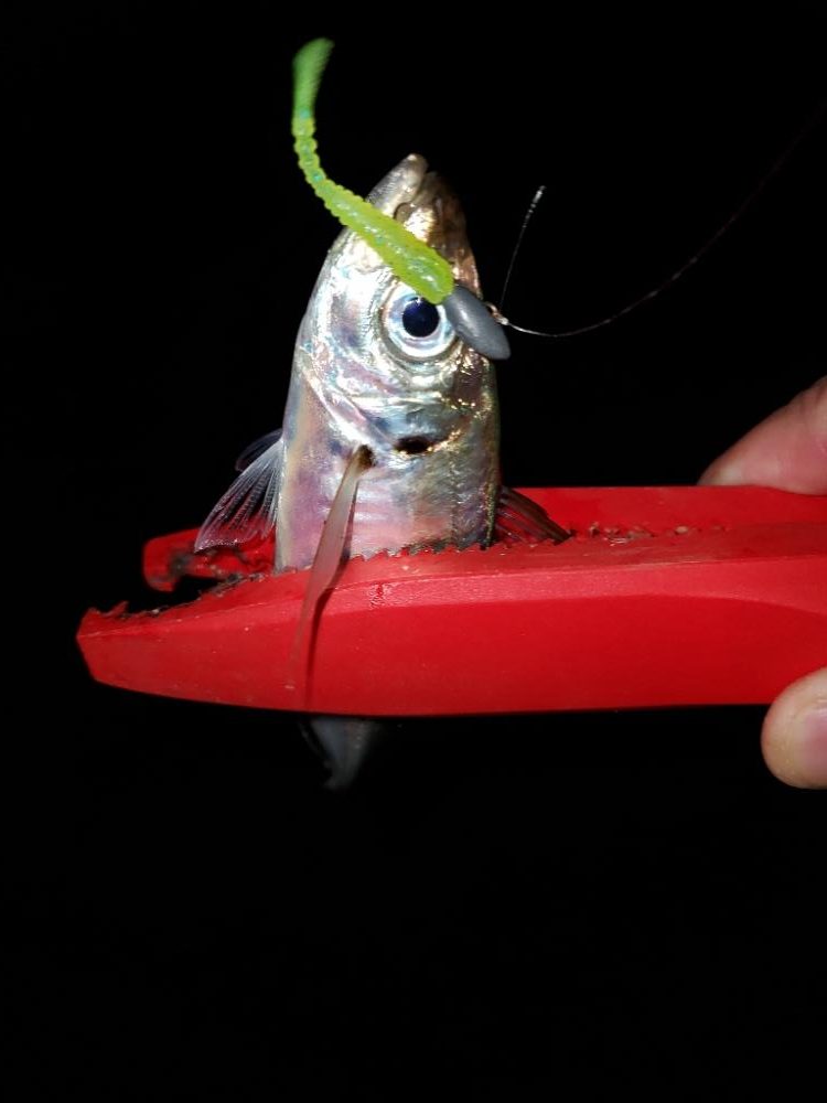 ま、まさかの?!