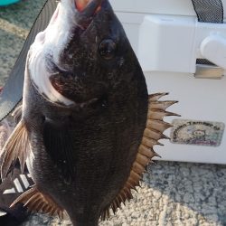 紀州釣りに挑戦