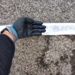 まさかの…ドラゴン!