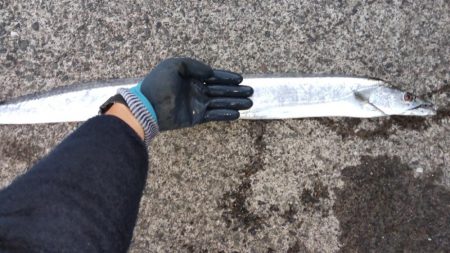 まさかの…ドラゴン！