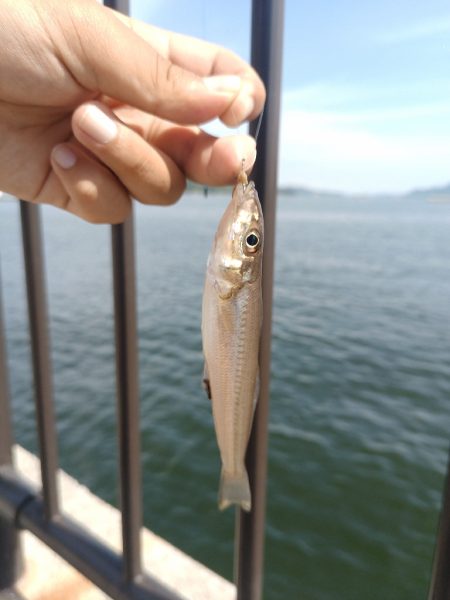 デイチニング開始迄の時間潰しに