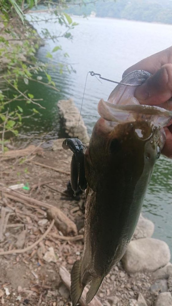 夏期満水おかっぱり津久井湖