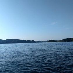 アジ狙いの乗合船