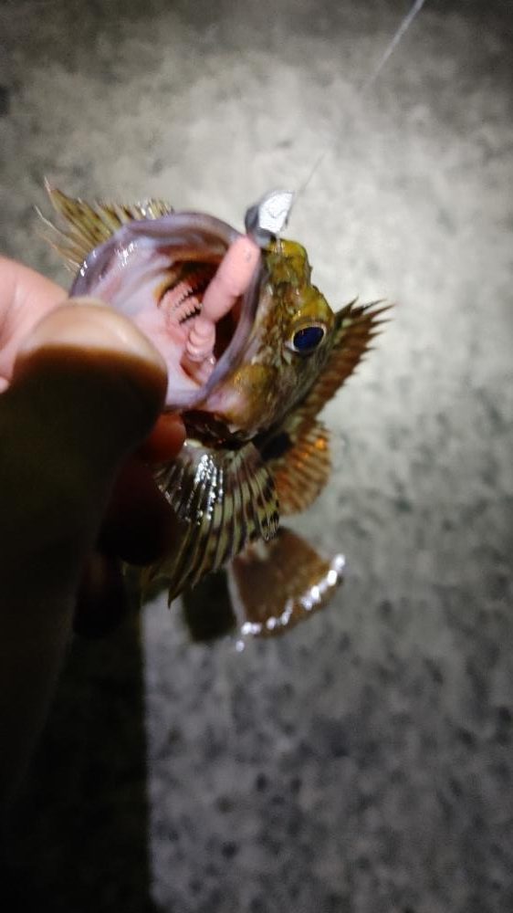 岬町ライトゲーム3