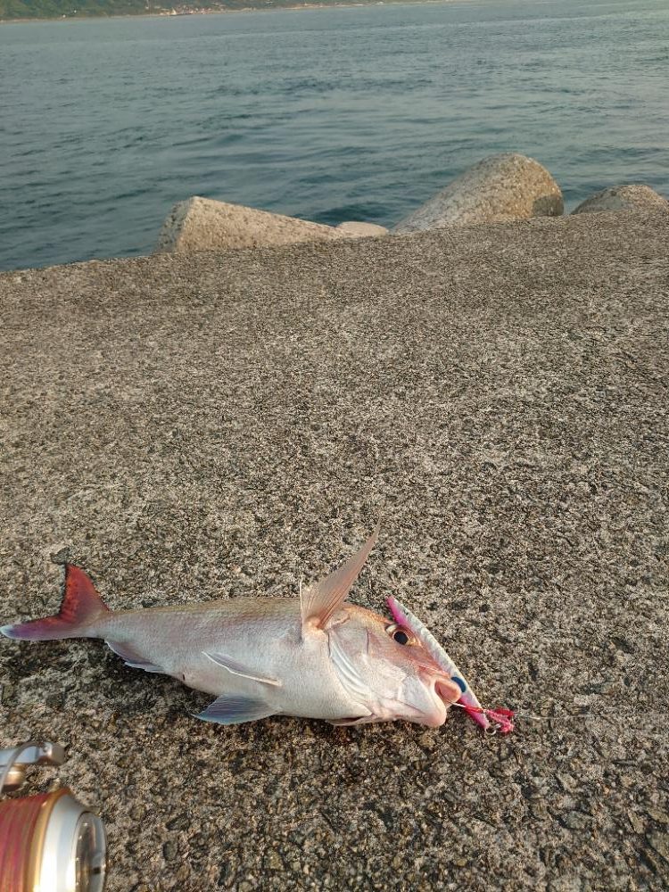 ショアジギとメバリング