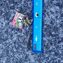 ちょい投げ釣行