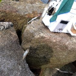 大塩海岸のキス釣り