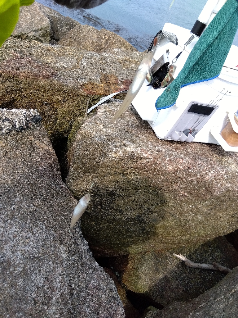 大塩海岸のキス釣り