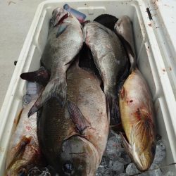 クロ釣り(五島列島)