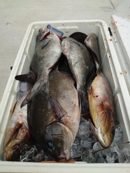 クロ釣り(五島列島)