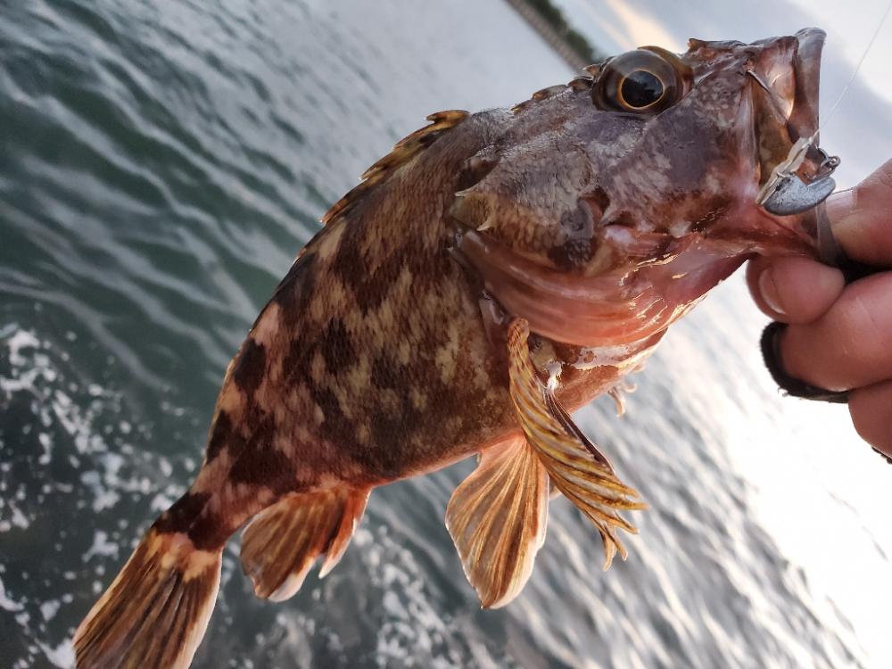 もうちょっとで(>_<)