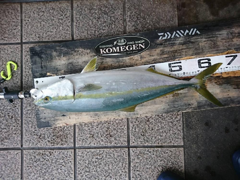 先週のリベンジ釣行!ブリクラスじゃ無かったけれど…