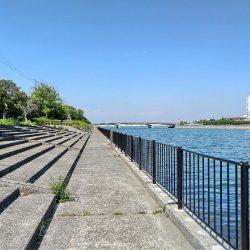 キス調査のつもりで…