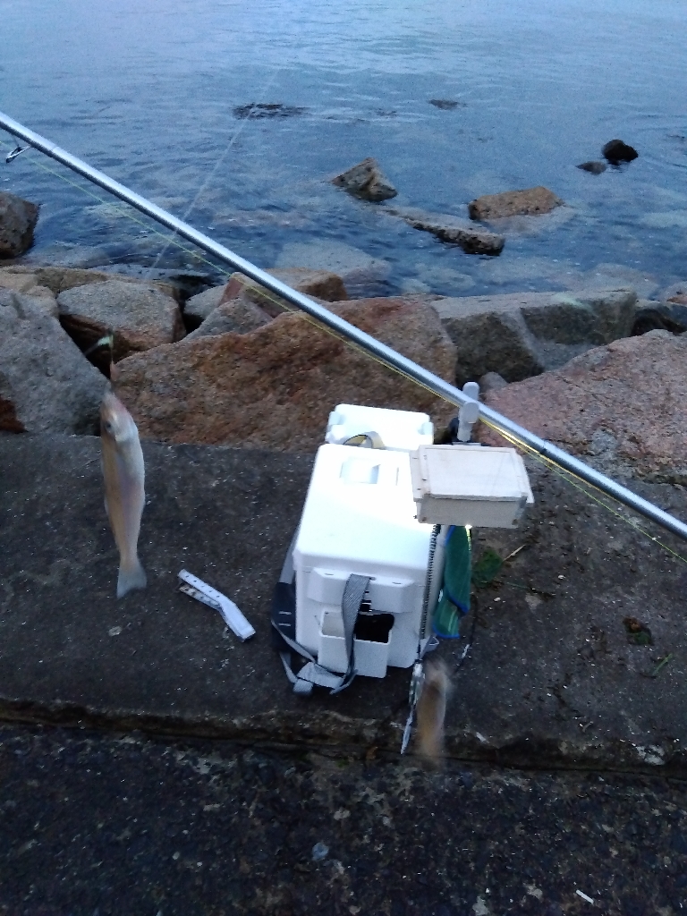 苅屋海岸のキス釣り