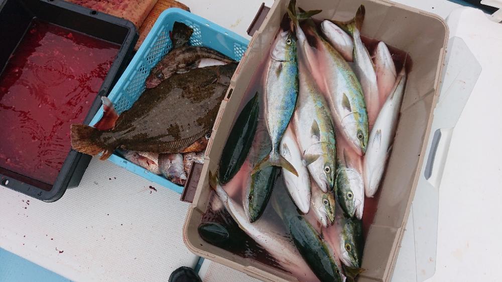 鳴門海峡ジギング