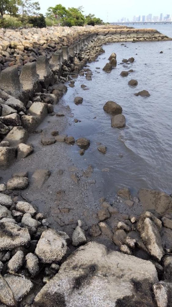 淀川うなぎ釣り