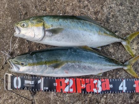 ショアプラッキング