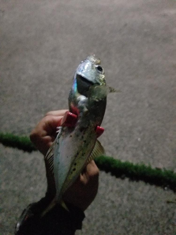 いつもの場所で