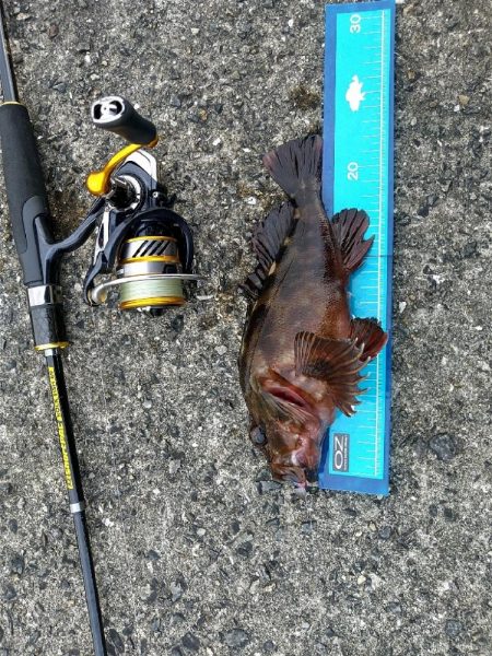 ライトワインドゲーム