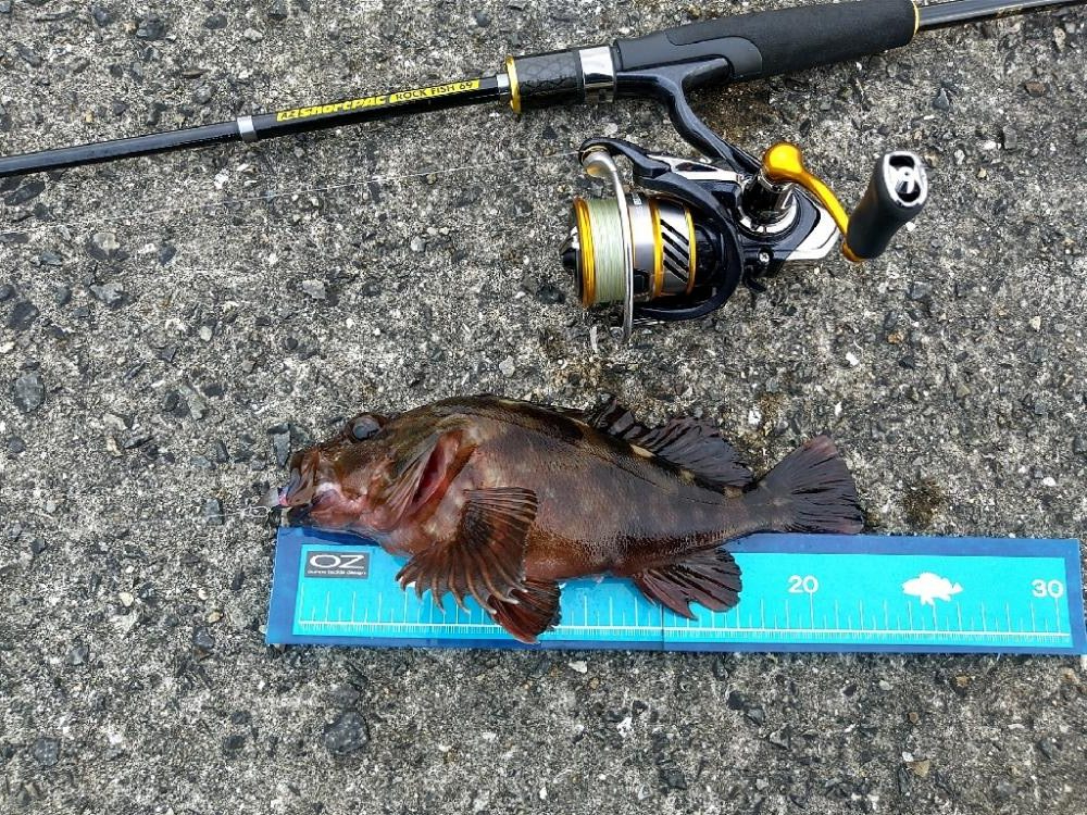 ライトワインドゲーム