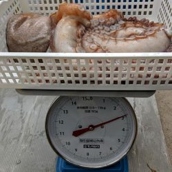 伊勢湾沖タコ釣り開幕！