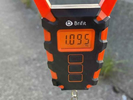 姫路の初ポイントでキロアップHIT♪