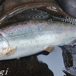 相変わらずの超渇水