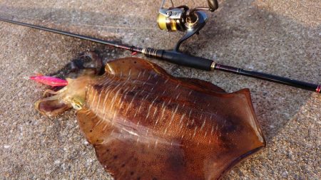 対馬からの投稿！