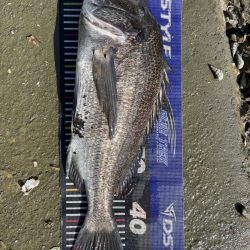 イチノ兄弟、釣果!