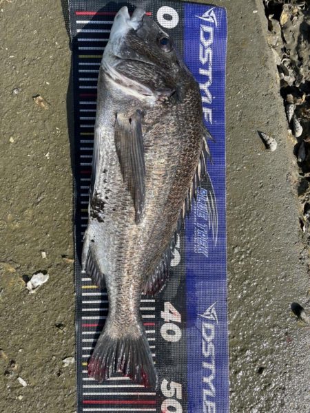 イチノ兄弟、釣果!