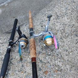 プチsalt water game