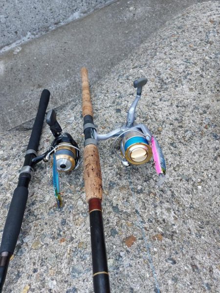 プチsalt water game