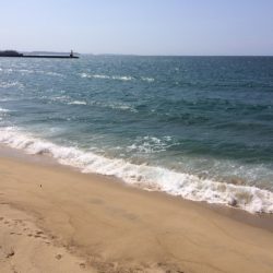 天気は良かったのですが強風で釣りづらかったです