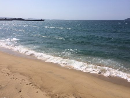 天気は良かったのですが強風で釣りづらかったです